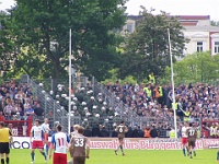 Pauli vs HSV2 05-06 031